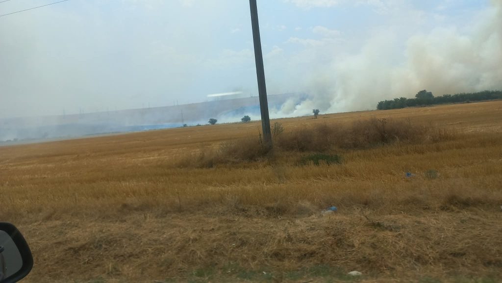 Incendiu! zeci de hectare arse, un grup de romi este de vină! Autoritățile dau vina pe caniculă!