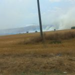 Incendiu! zeci de hectare arse, un grup de romi este de vină! Autoritățile dau vina pe caniculă!